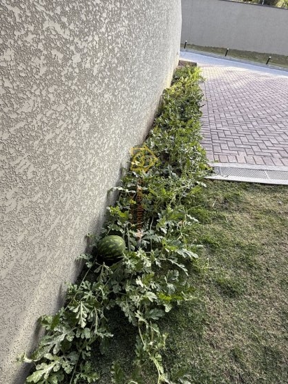 casa-em-condominio-venda-vila-santista-atibaia-1026483