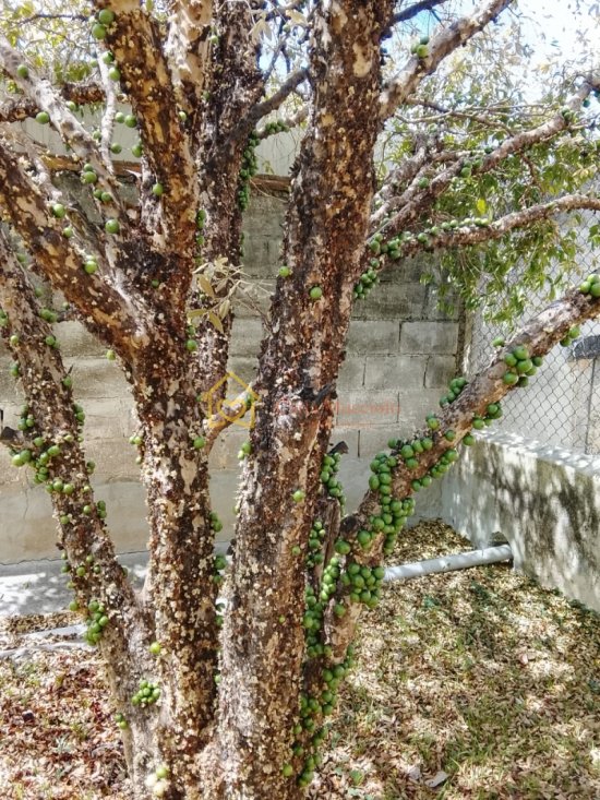 casa-venda-recreio-maristela-atibaia-1061552