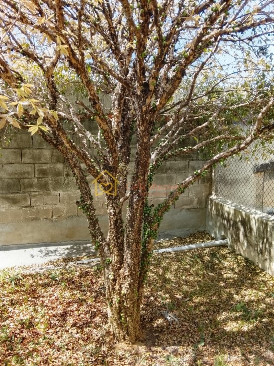 casa-venda-recreio-maristela-atibaia-1061564