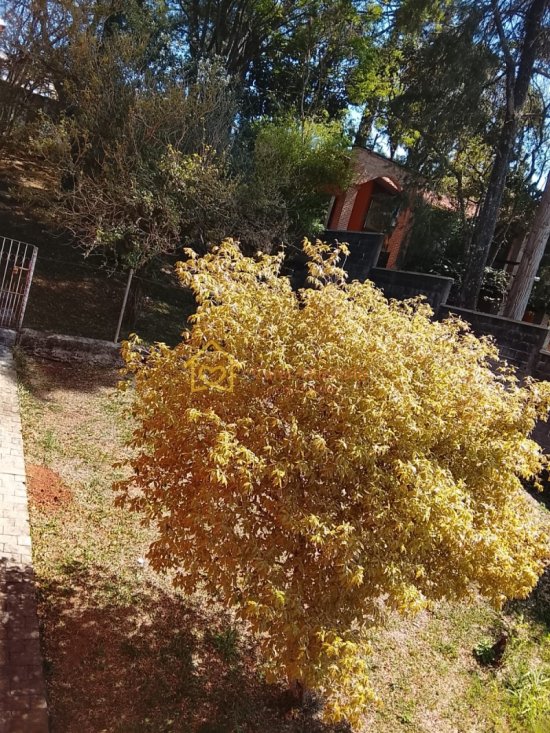 casa-venda-recreio-maristela-atibaia-1061598