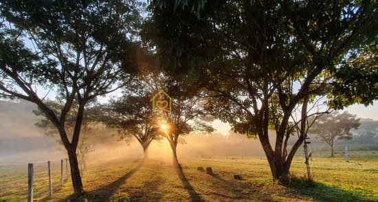 lancamento-venda-bom-jesus-dos-perdoes-711686